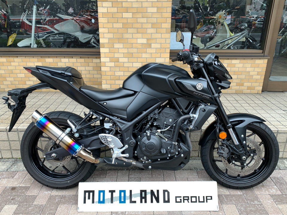 Yamaha MT-25 2022