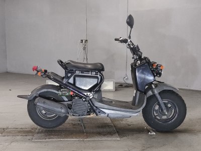 Honda ZOOMER 2007