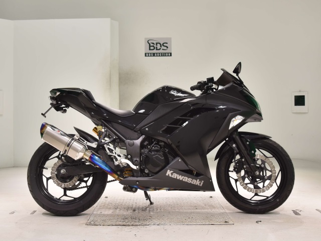 Kawasaki NINJA250 2013