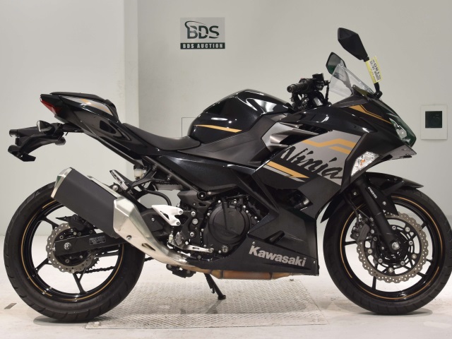 Kawasaki NINJA250 2020