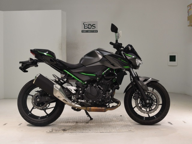 Kawasaki Z250 2024