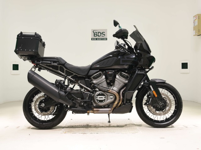 HD PAN AMERICA1250 S 2021