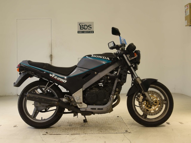 Honda VTZ250 1989
