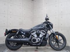 HD RH975 NIGHT STAR 2022