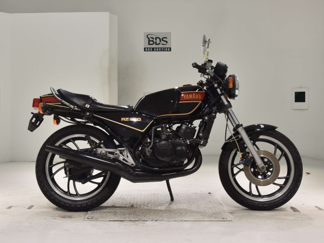 Yamaha RZ250