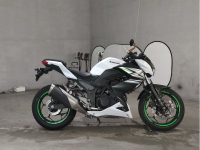 Kawasaki Z250 2014