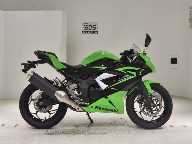 Kawasaki NINJA250 2015