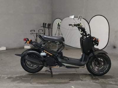 Honda ZOOMER 2012
