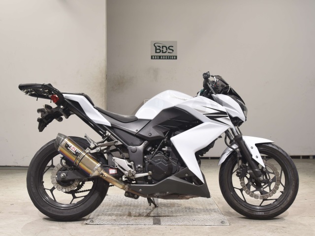 Kawasaki Z250 2013