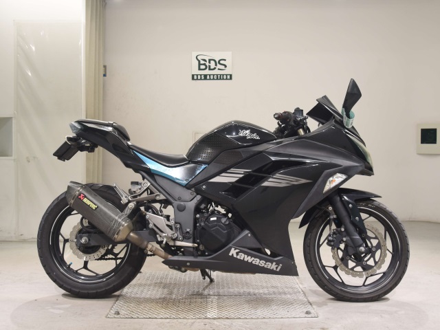 Kawasaki NINJA250 2017