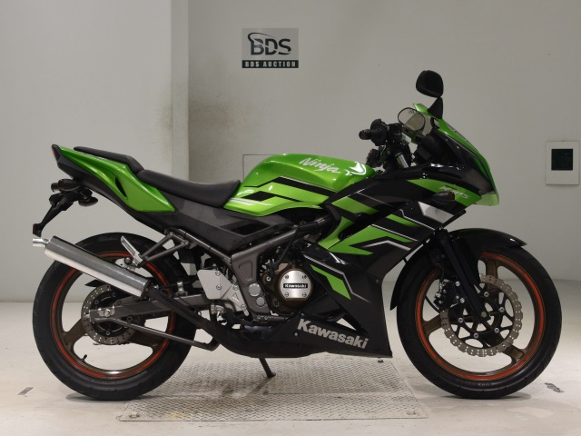 Kawasaki NINJA150RR 2015