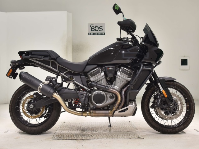 HD PAN AMERICA1250 S 2021