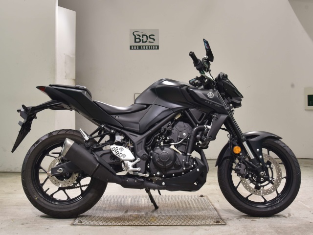 Yamaha MT-25 2022