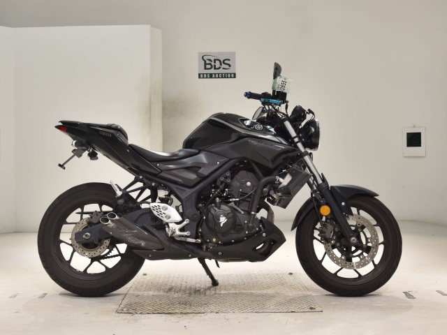 Yamaha MT-25 2018