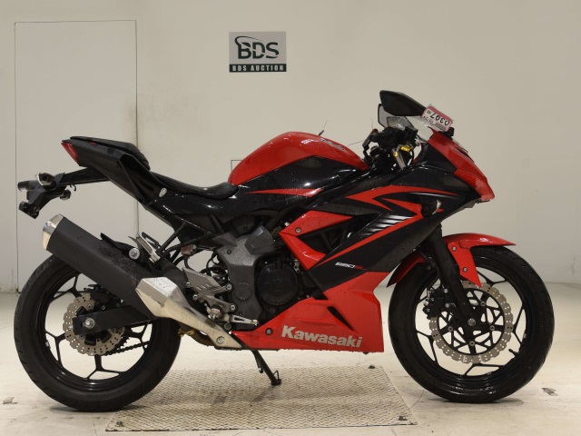 Kawasaki NINJA250 2015