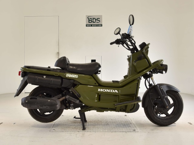 Honda PS250 BIG RUCKUS 2004