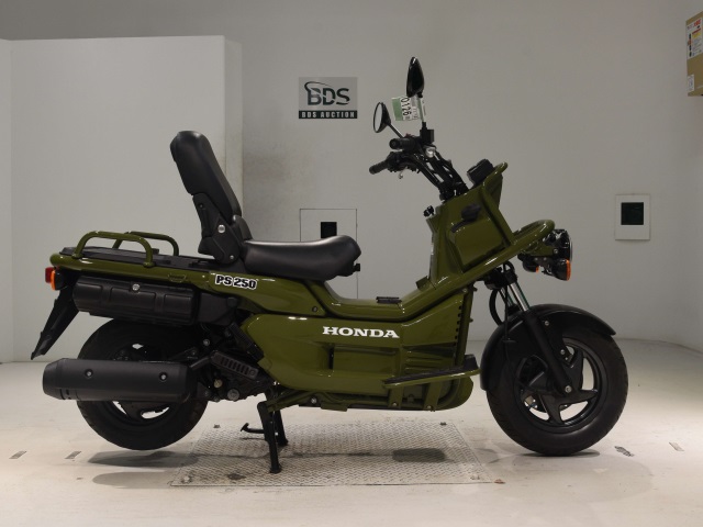 Honda PS250 BIG RUCKUS 2006