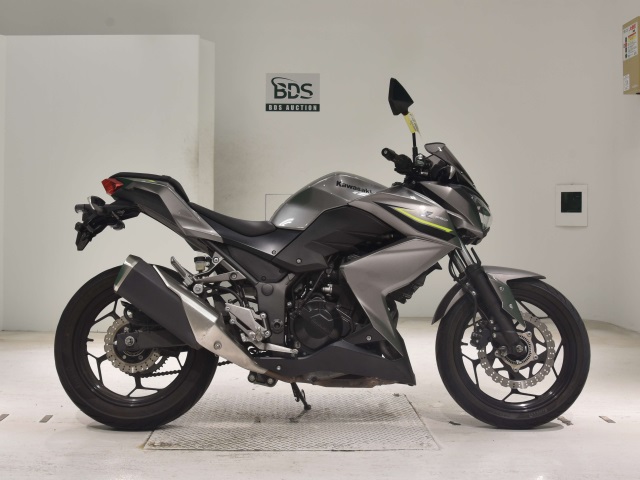 Kawasaki Z250A 2017