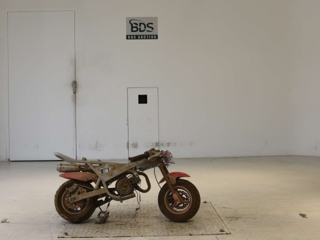 BRP POCKET BIKE