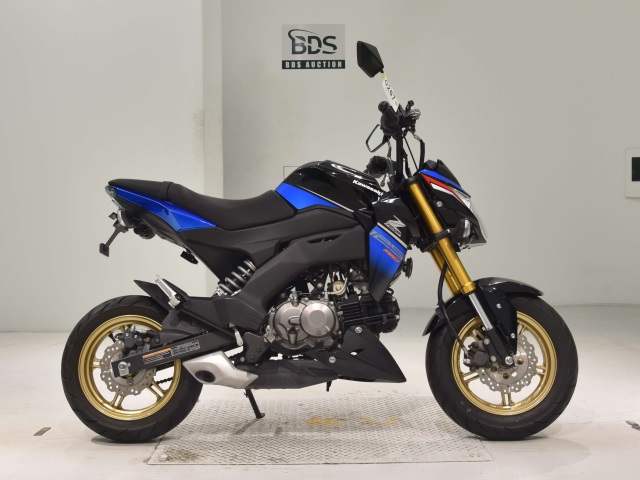 Kawasaki Z125 PRO 2016