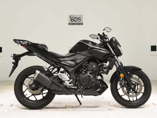 Yamaha MT-25 2019