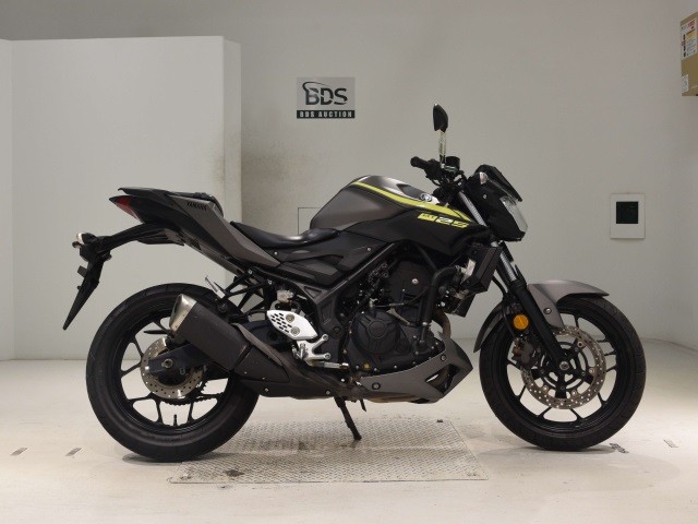 Yamaha MT-25 2019
