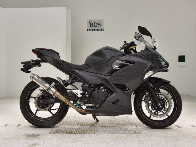 Kawasaki NINJA250 2019