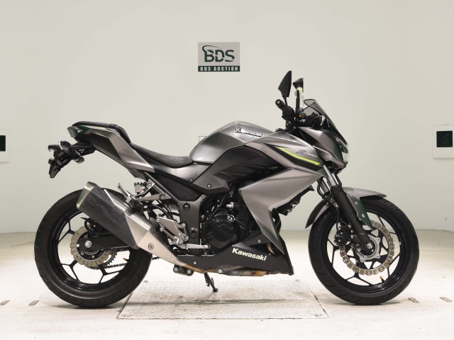 Kawasaki Z250A 2017