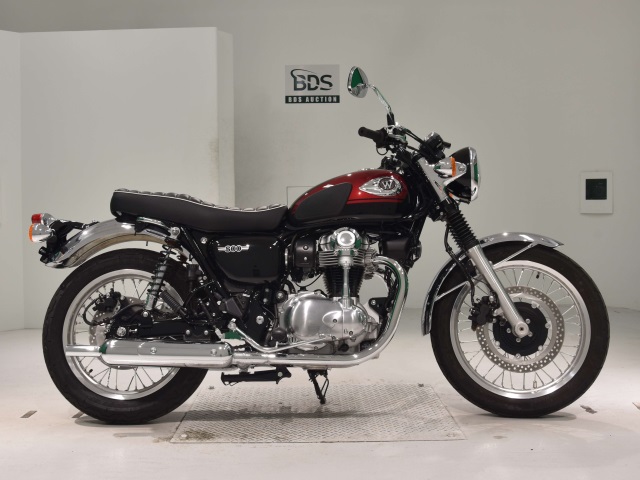 Kawasaki W800 2024