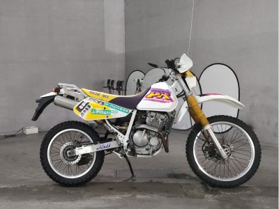 Suzuki DR250R