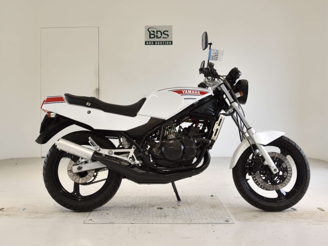 Yamaha RZ250R 1986