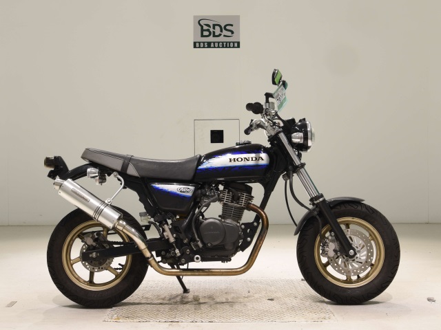 Honda APE100 2010