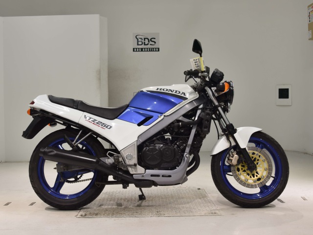 Honda VTZ250 1988