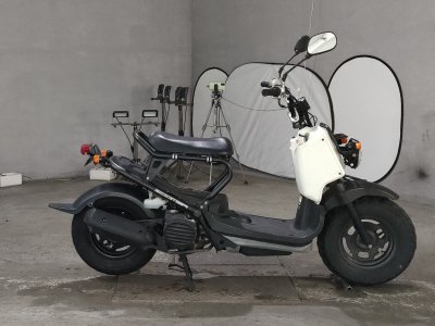 Honda ZOOMER 2008