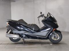 Honda FORZA Z 2008