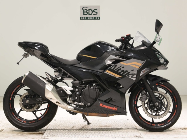 Kawasaki NINJA250 2020