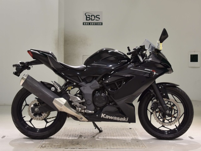 Kawasaki NINJA250 2016