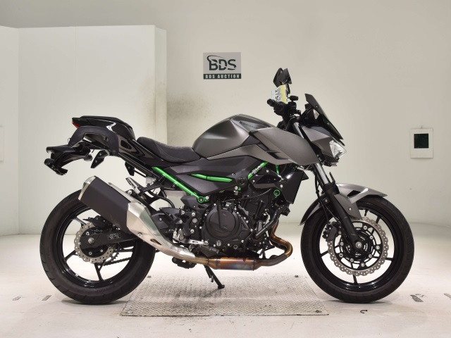 Kawasaki Z250 2024