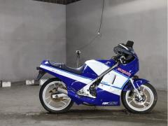 Suzuki RG250