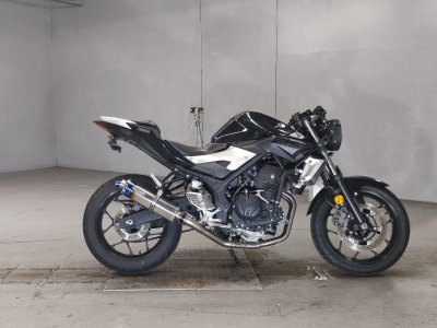 Yamaha MT-25 2016