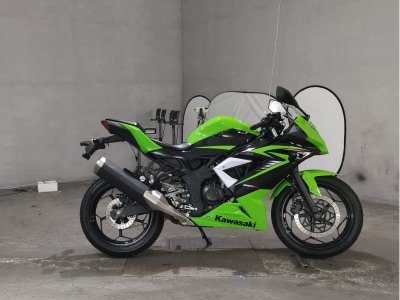 Kawasaki NINJA250 2015