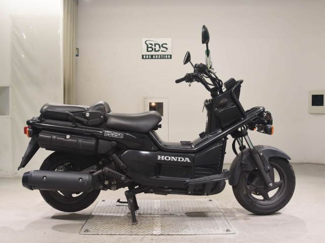 Honda PS250 BIG RUCKUS 2006