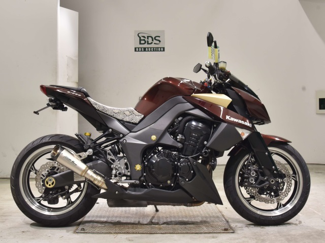 Kawasaki Z1000 2010