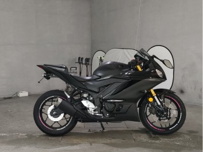 Yamaha YZF-R3 2019