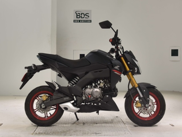 Kawasaki Z125 PRO 2021