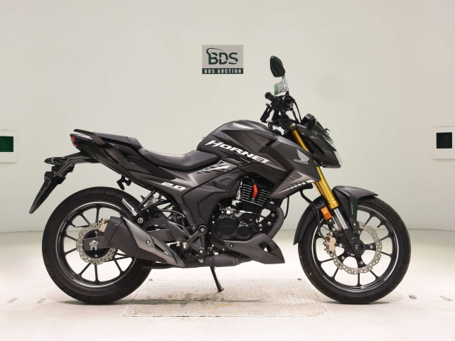 Honda HORNET 2.0