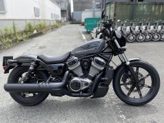 HD RH975 NIGHT STAR 2022