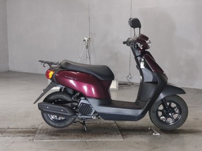 Honda TACT125 2024