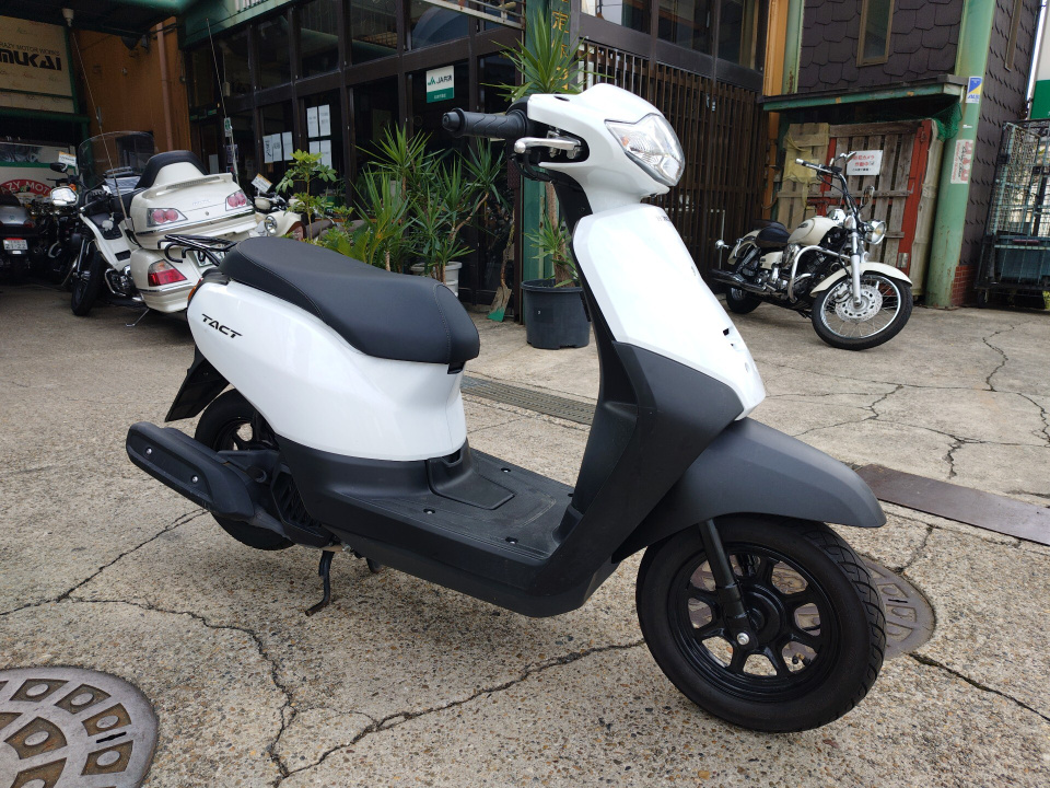 Honda TACT125 2024