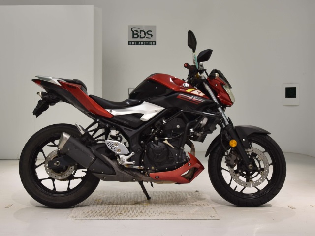Yamaha MT-25 2016